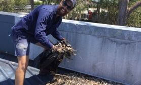 local handyman cleaning roof and clearing gutters filled with leaves