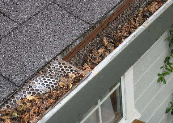 Roofing company repairing old and damaged gutters in Balmoral