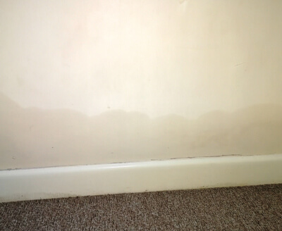 fix damp wall