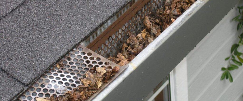 gutter cleaner brisbane