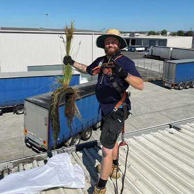 Plumber carrying out roof maintenance in Brisbane
